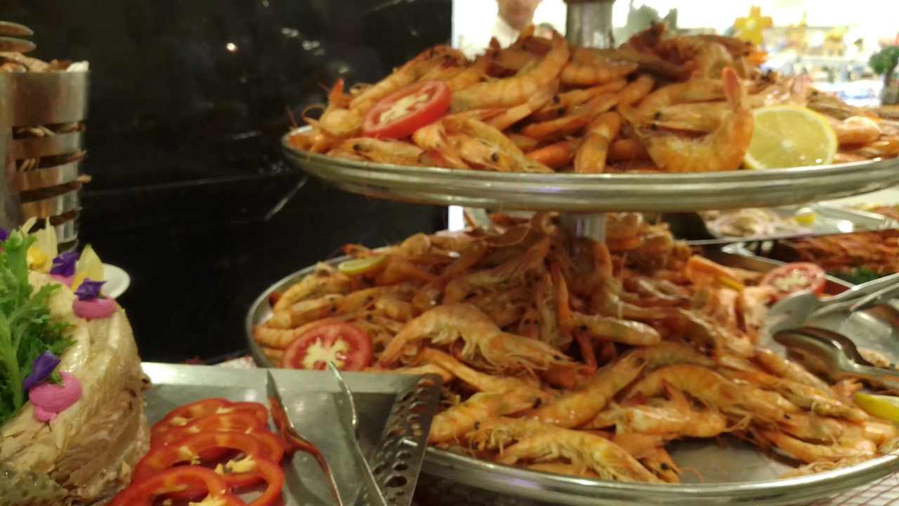 Gastro Adalya Elite Lara