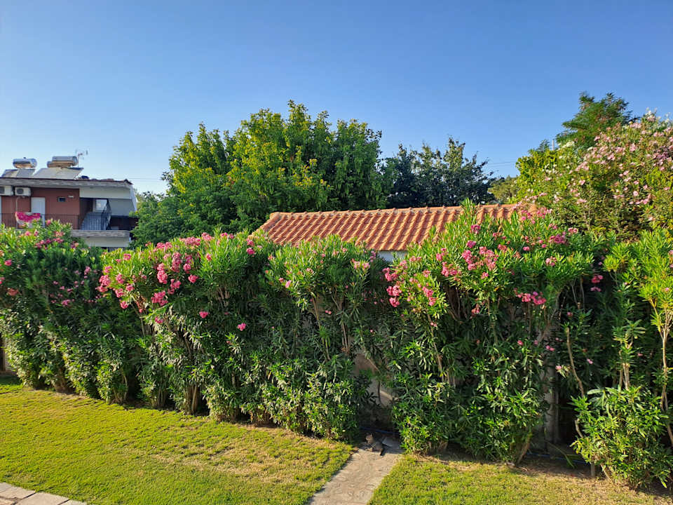 Gartenanlage Hotel Artemis