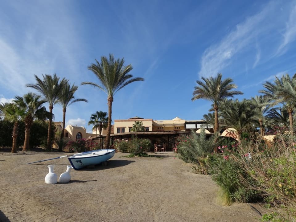 Bar Steigenberger Coraya Beach - Adults only