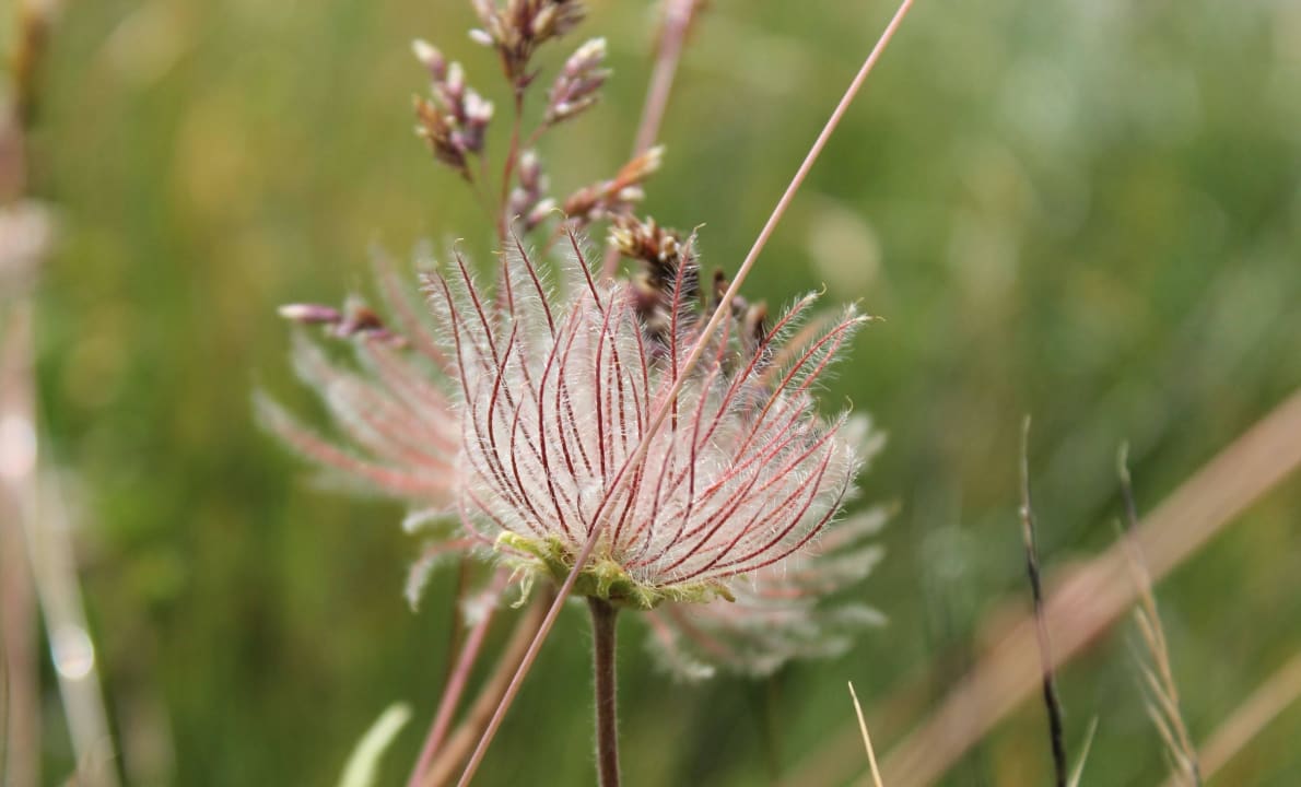 Natur Genießer- & Wanderhotel Jägerhof