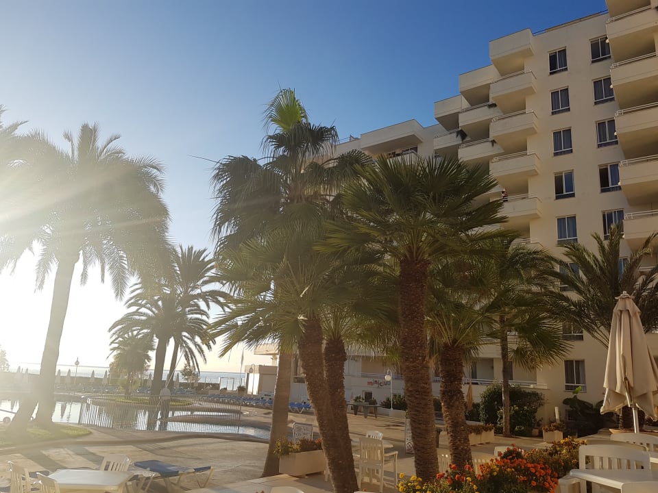 Pool Aparthotel Playa Dorada