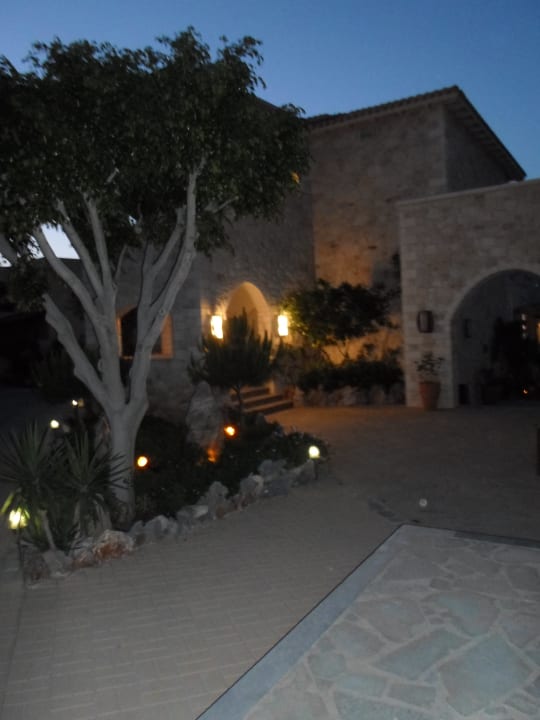 Rundgang Cactus Royal