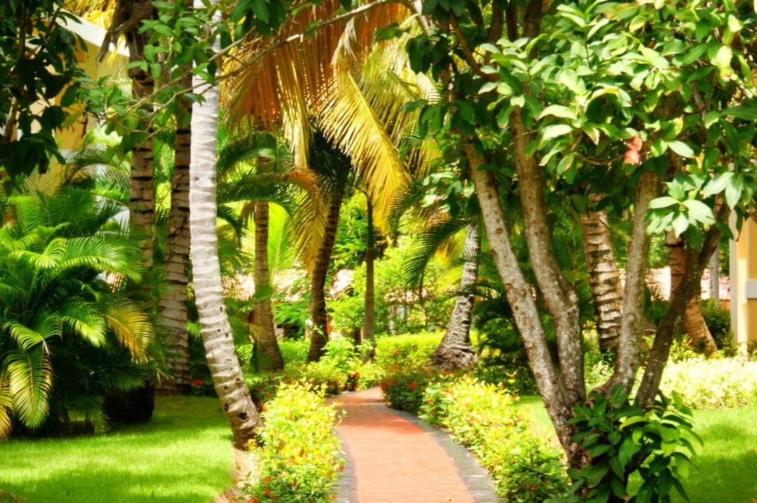 Droga na plażę Grand Palladium Select Bávaro Resort & Spa
