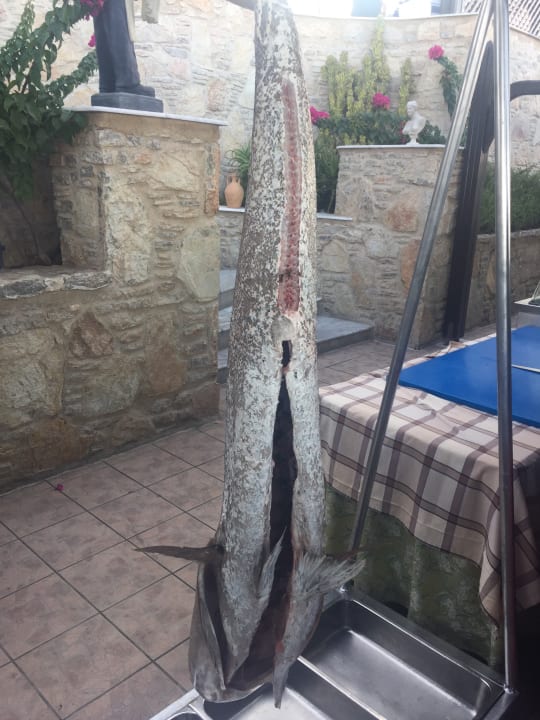 Restaurant Hotel Kalithea Horizon Royal