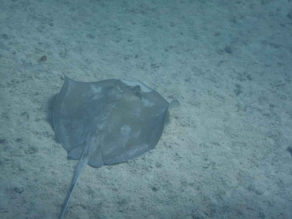 Strand Akumal Bay Beach & Wellness Resort