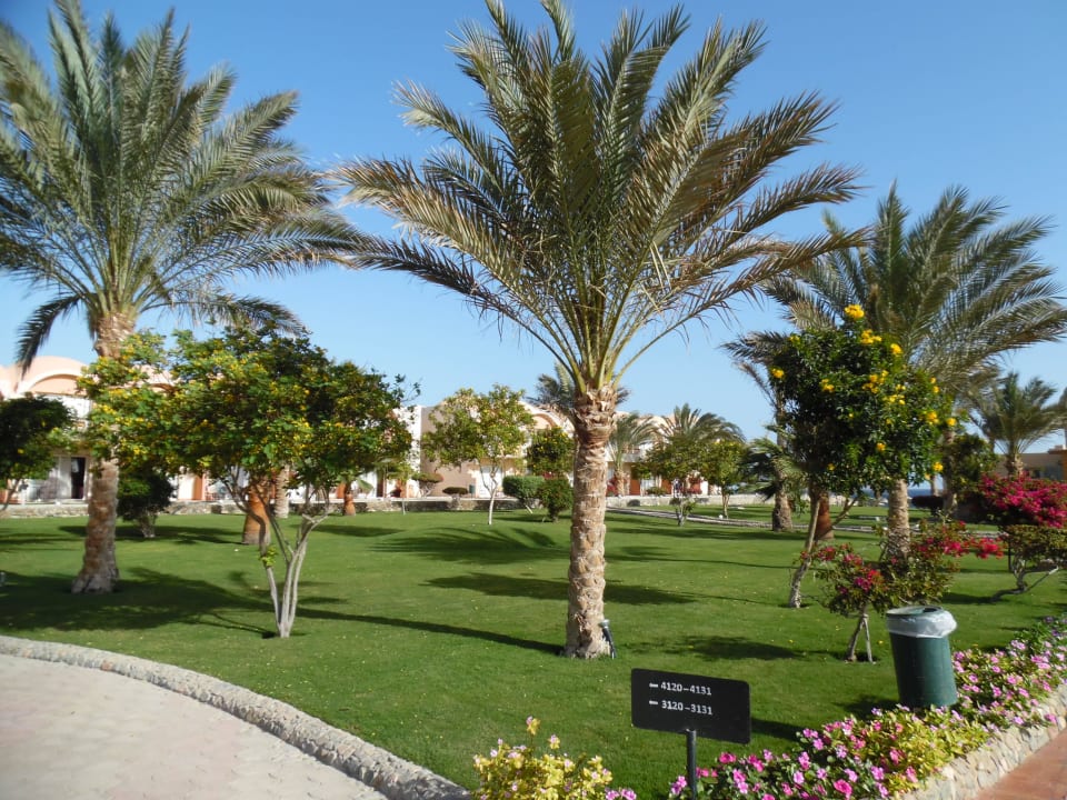 Schön Three Corners Sea Beach Resort