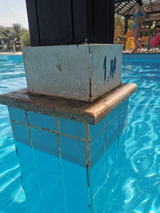 Pool Miramar Al Aqah Beach Resort