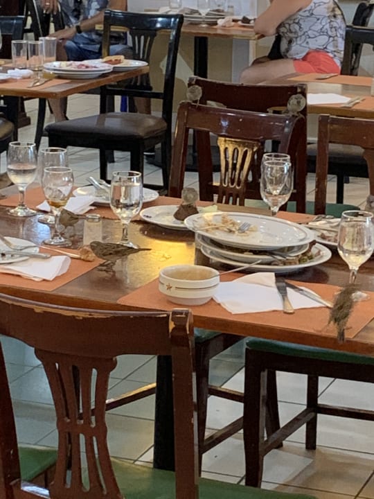 Gastro Iberostar Origin Laguna Azul