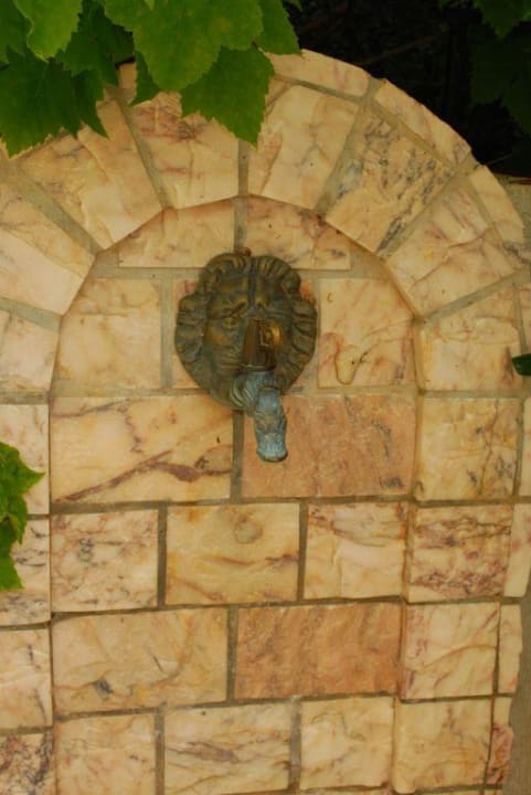 Леводракон Hersonissos Palace