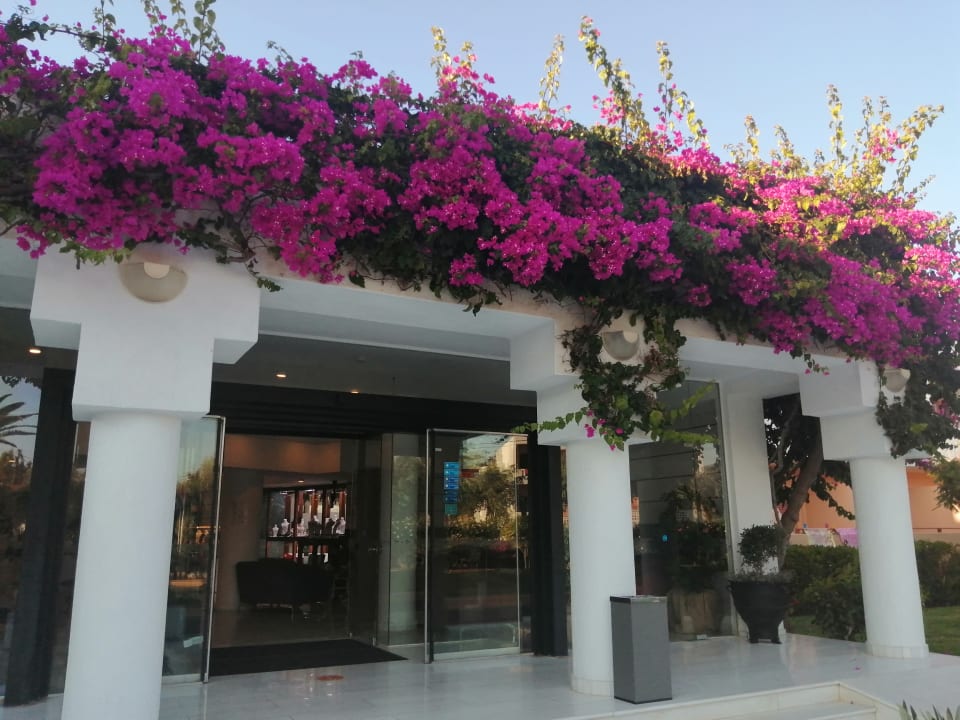 Lobby Anissa Beach & Village