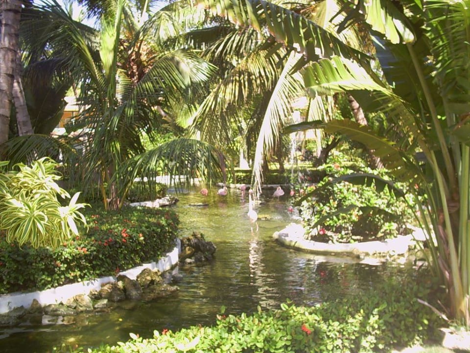 Teich vor Haupteingang Grand Palladium Select Bávaro Resort & Spa