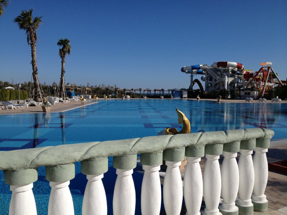 Pool Hotel Delphin Imperial