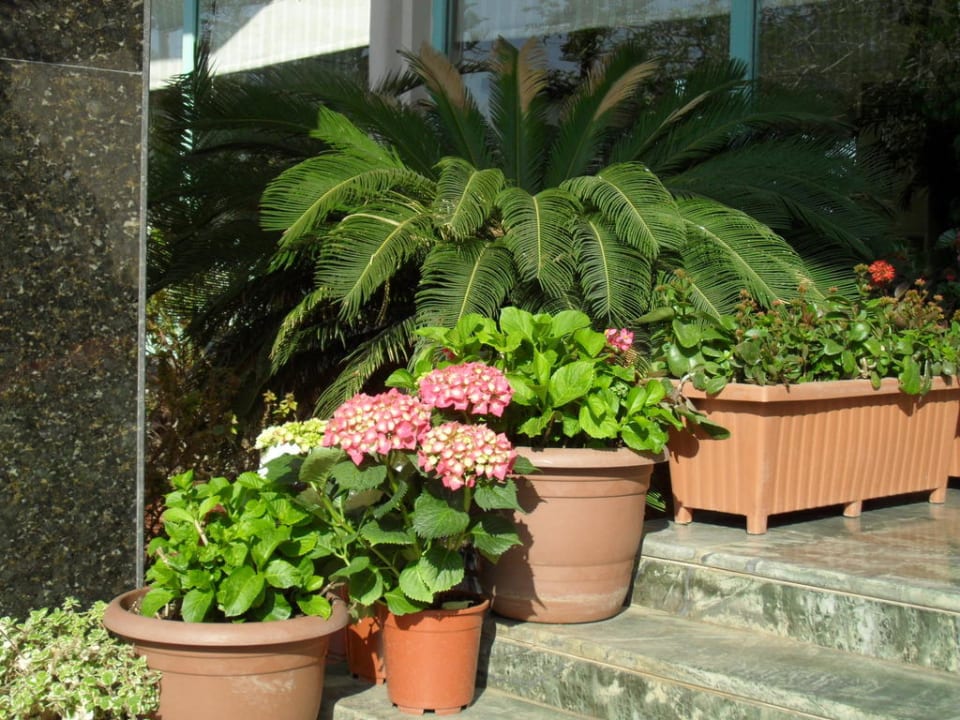 Eingang zum Hotel Side Bay Hotel