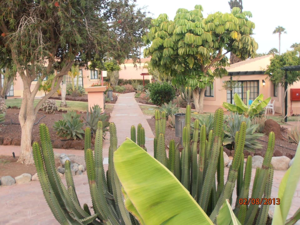 Bungalows und Gartenanlage allsun Hotel Esplendido