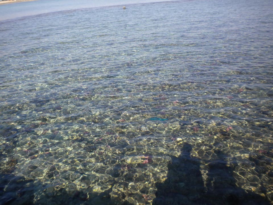 Strand TUI MAGIC LIFE Redsina Sharm El Sheikh