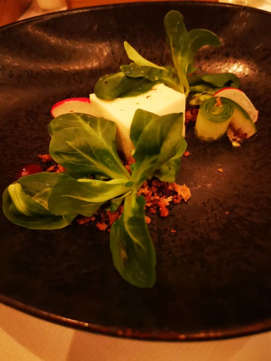 Gastro Natur- & Wellnesshotel Brunner Hof