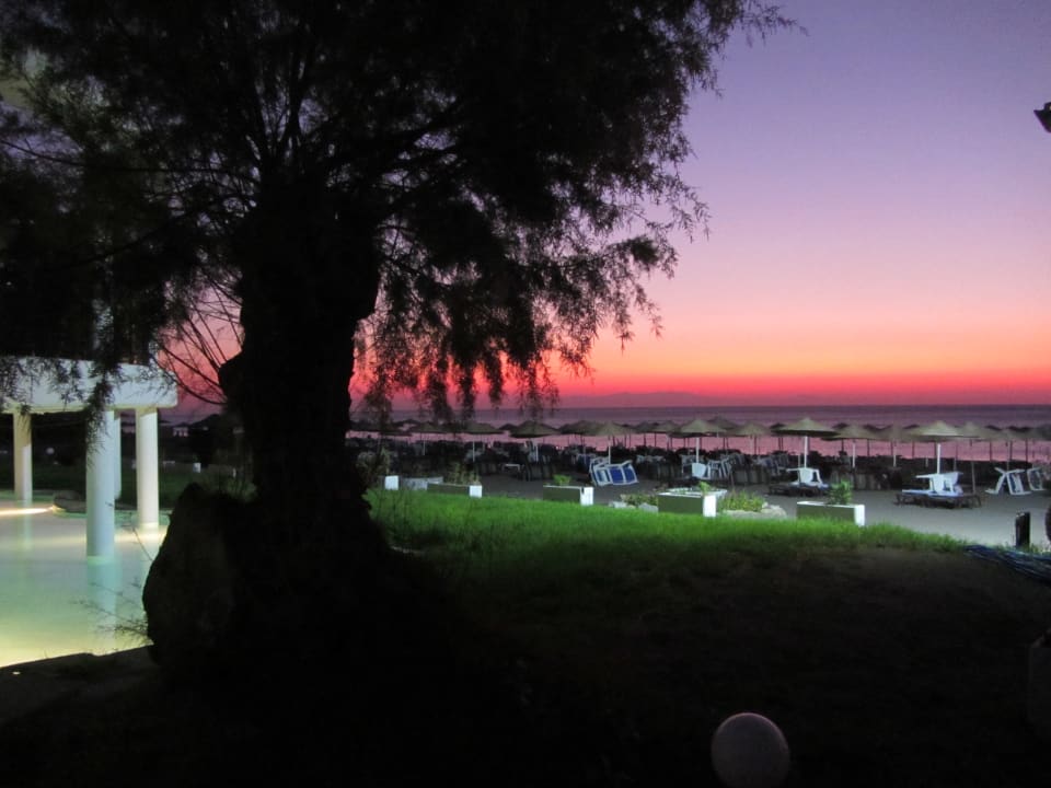 Ausblick Hotel Calypso Beach