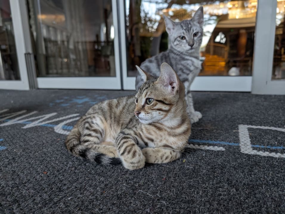 Sonstiges Dream World Aqua Hotel