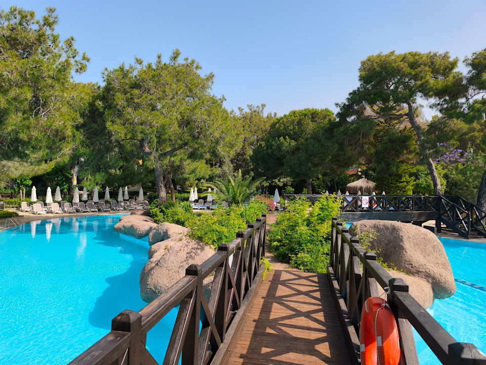 Pool Blue Waters Club
