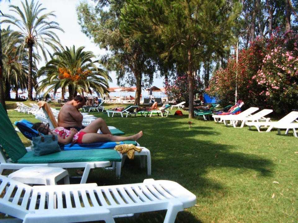 Sonnenliegen im Garten Top Hotel