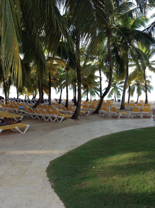 Richtung Strand Hotel Viva Dominicus Palace by Wyndham-All Inclusive Resort