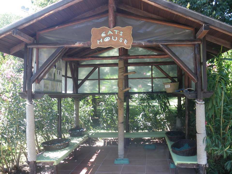 Cats House Asteria Family Belek