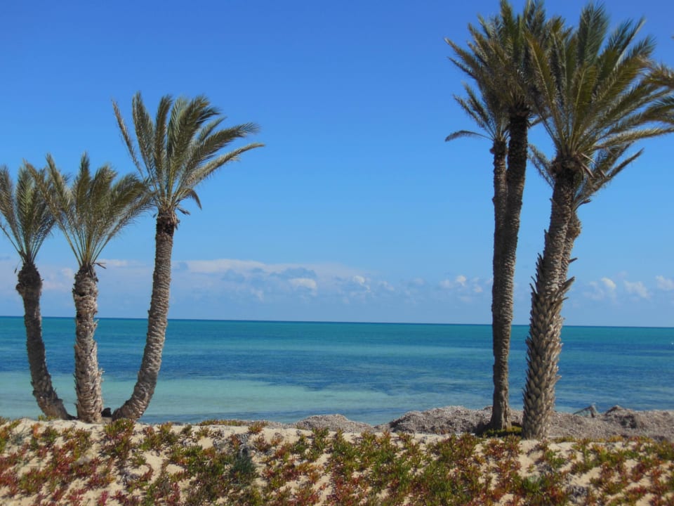 Couleurs de la mer Hotel El Mouradi Djerba Menzel