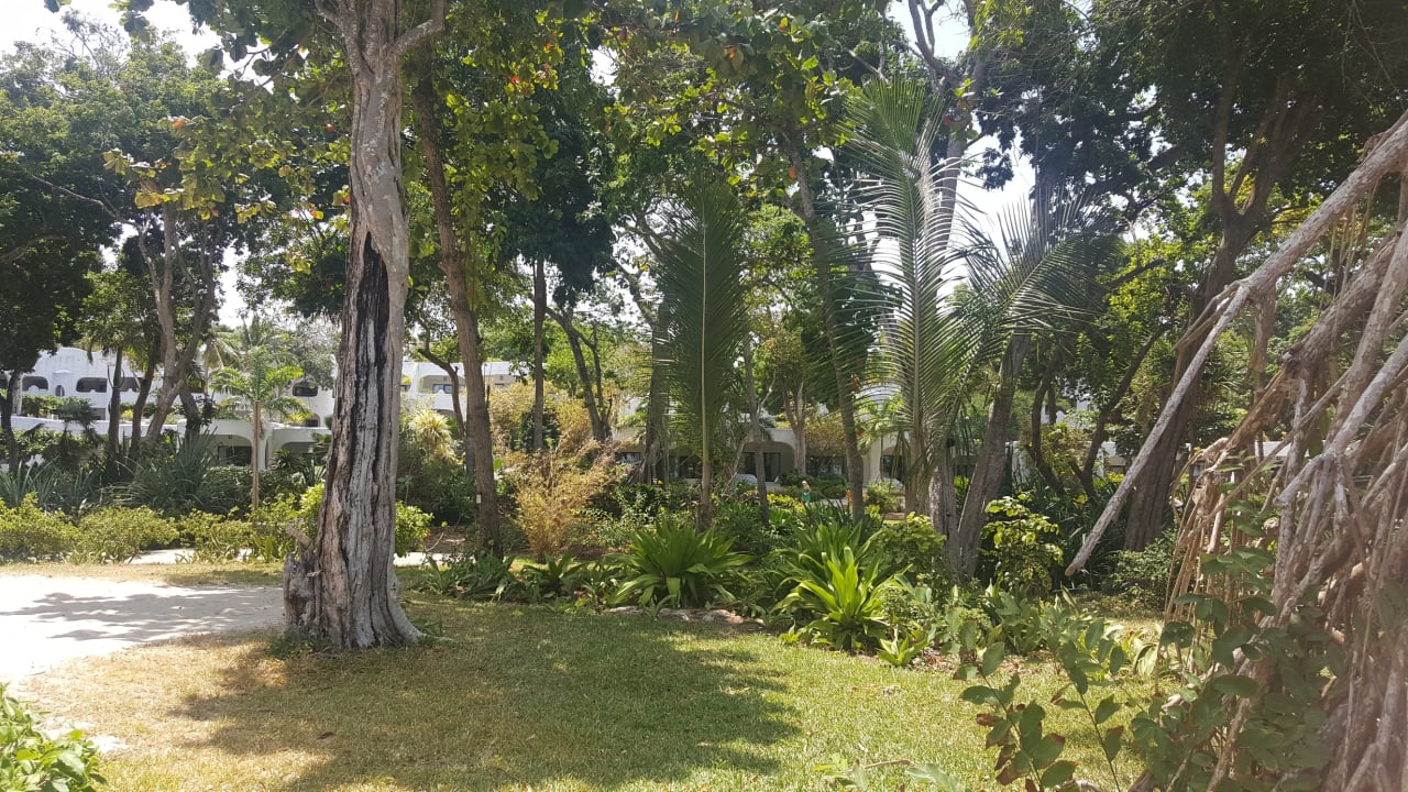 Gartenanlage Ocean Village Club