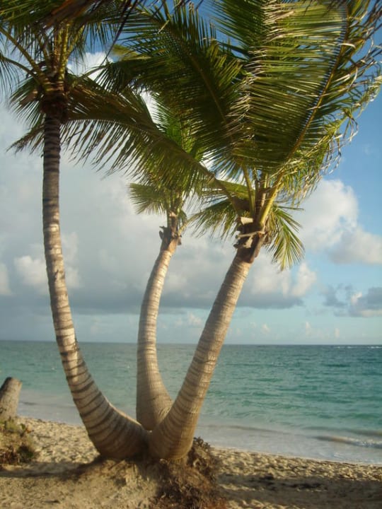 Strand Hotel Grand Palladium Palace Resort, Spa & Casino