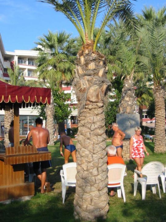 Animationsaktivitäten Seher Kumköy Star Resort & Spa