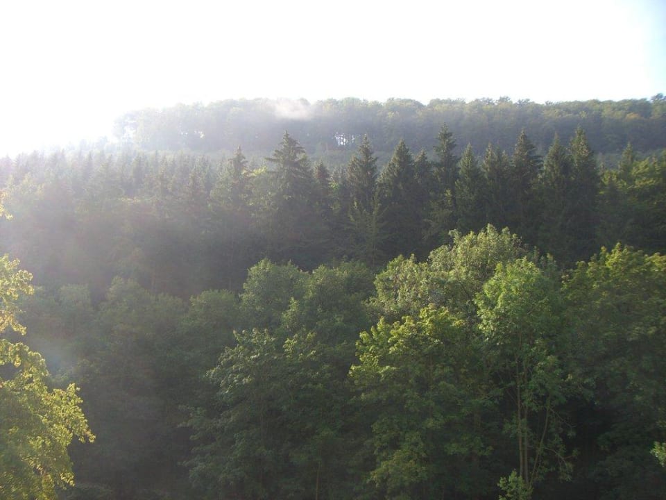 Blick vom Balkon II Landhotel Kunzental
