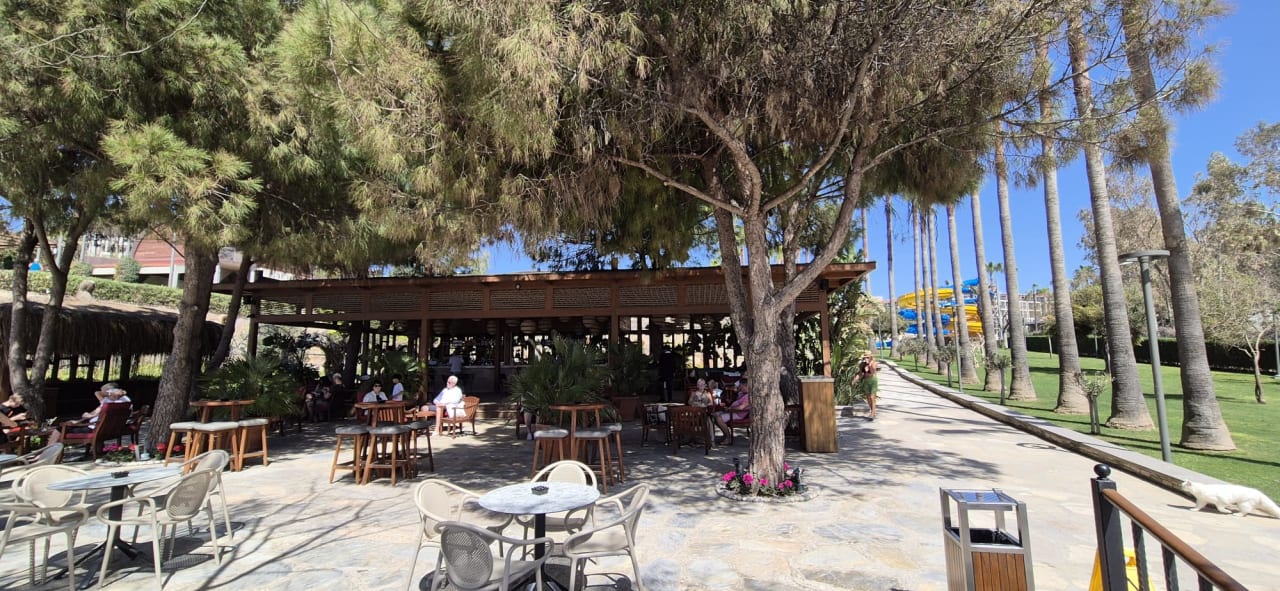 Gastro Arum Barut Collection