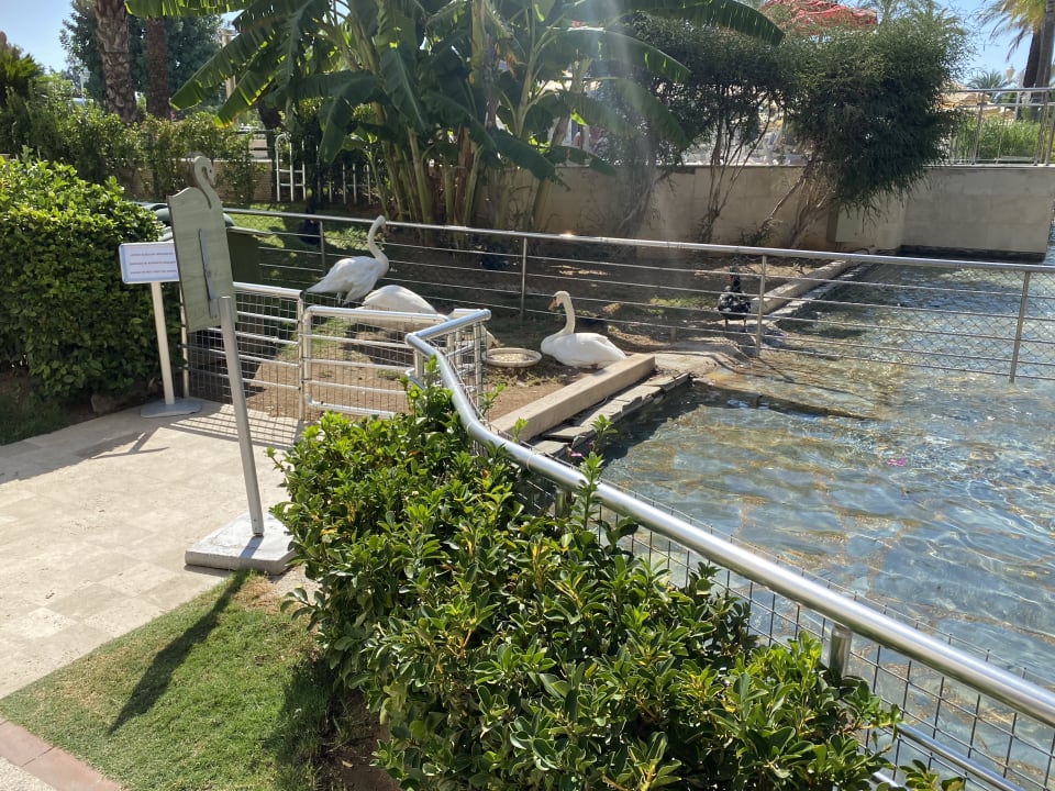 Gartenanlage Dobedan Exclusive Hotel And Spa