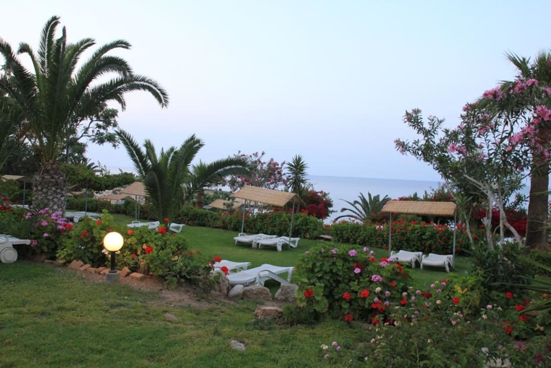 Gartenanlage mit Liegen Crystal Springs Beach Hotel
