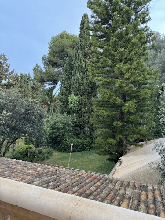 Ausblick Lago Garden