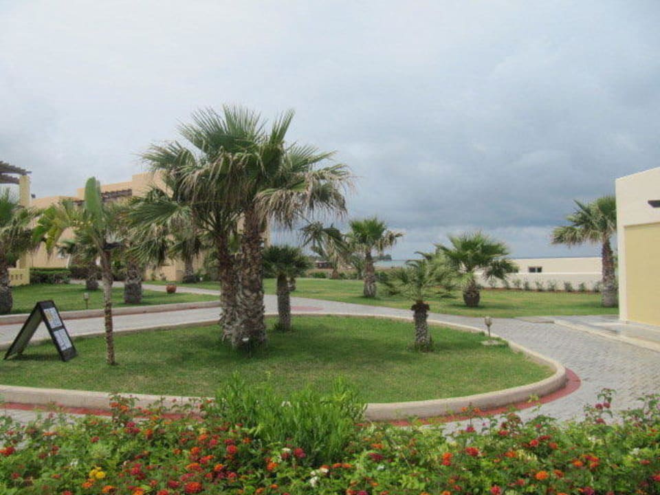 Ogród Hotel Horizon Beach Resort