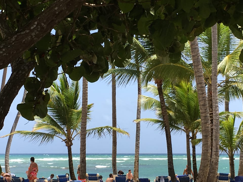 Strand Grand Sirenis Punta Cana Resort & Aquagames