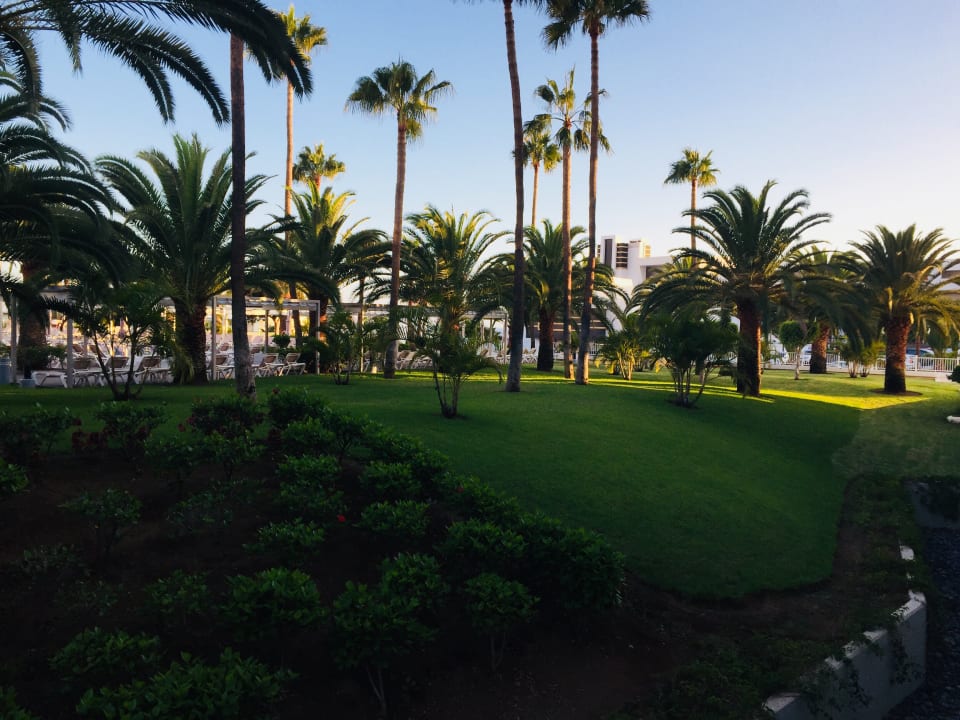 Ausblick Hotel Riu Arecas - Adults only