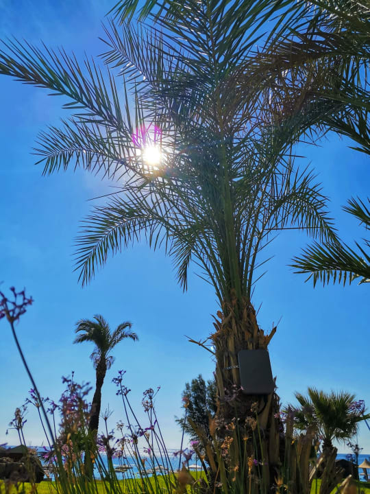 Pool Rodos Palladium Leisure & Wellness