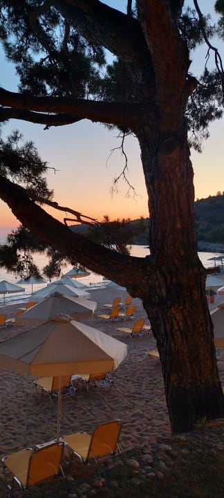 Strand Hotel Royal Paradise Beach Resort & Spa