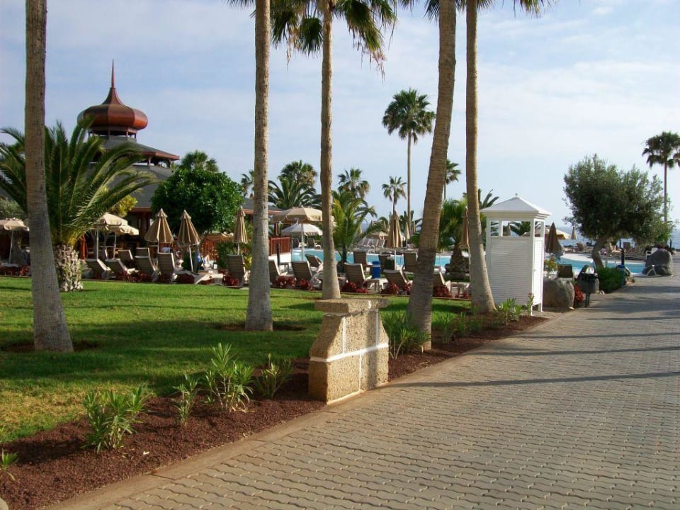 Im Garten Hotel Riu Palace Tenerife
