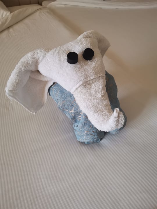 Zimmer Serenity Alpha Beach