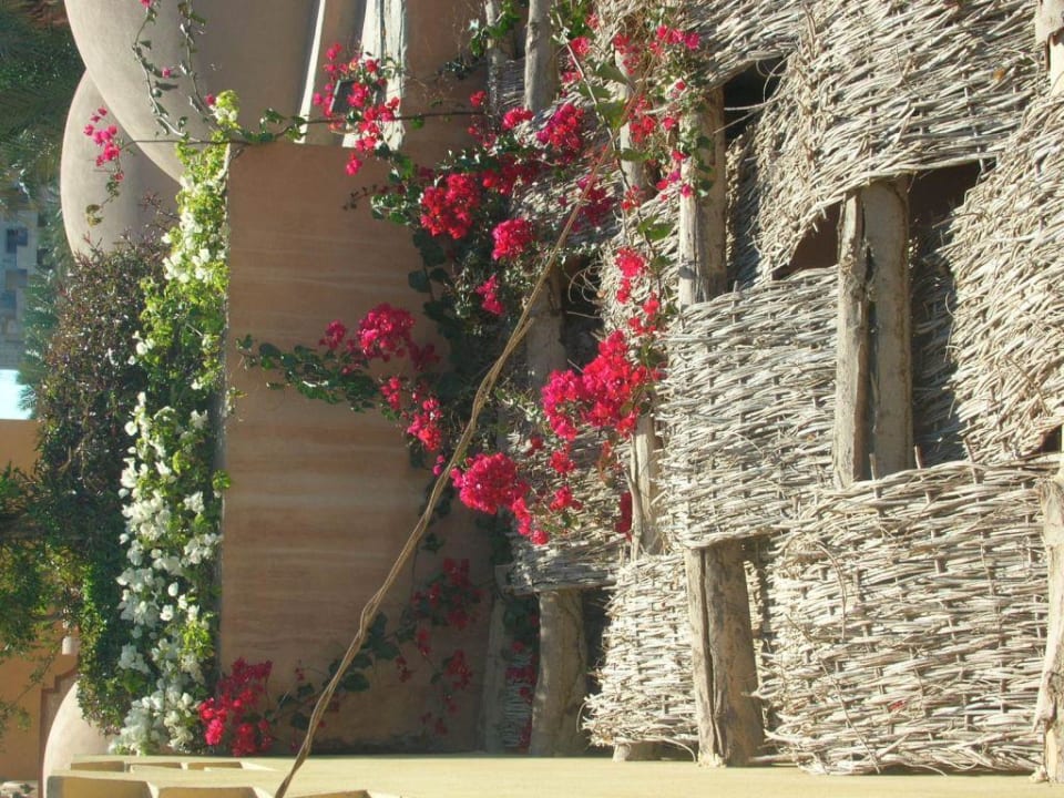 Blumenschmuck Grand Makadi