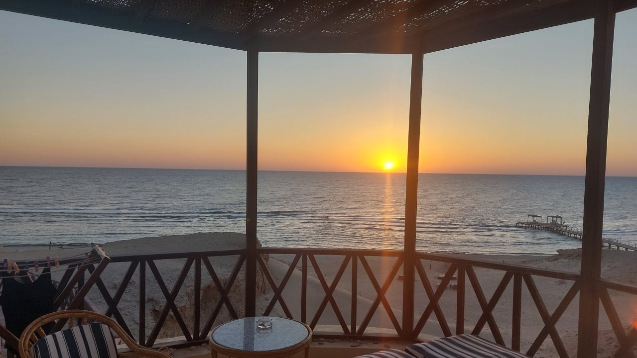 Ausblick The Oasis Dive Resort