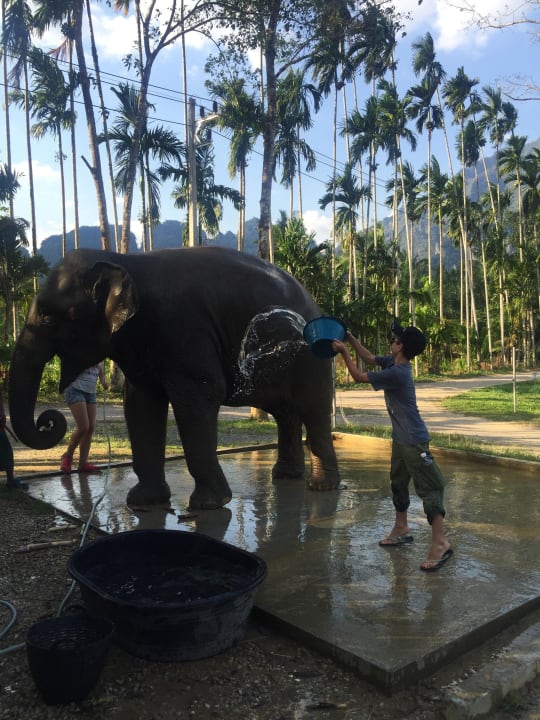Handwäsche Elephant Hills