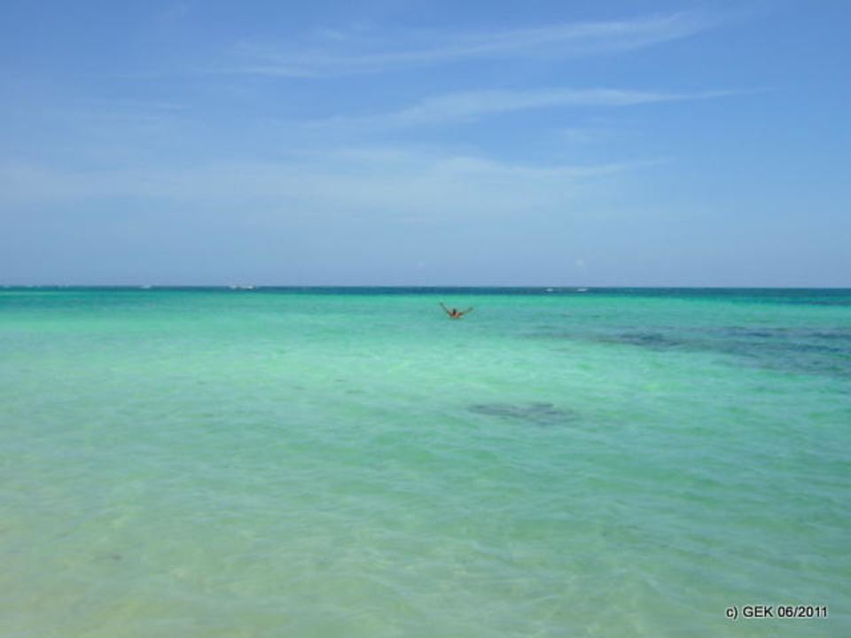 Das bin ich Punta Cana Princess All Suites Resort & Spa