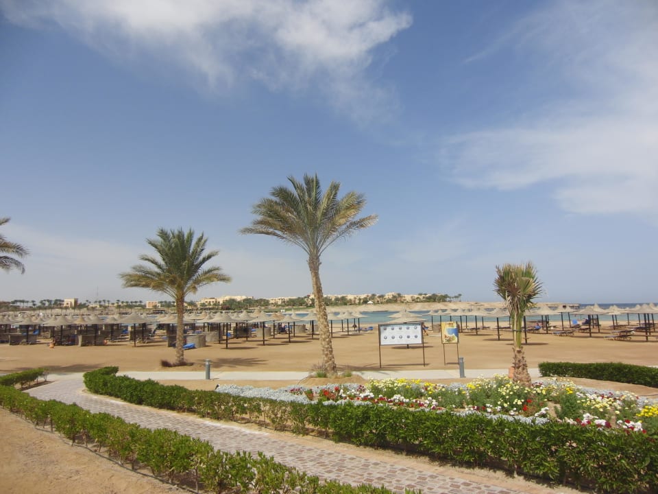 Blick von der Strandbar zur Bucht (links) Jaz Dar EL Madina