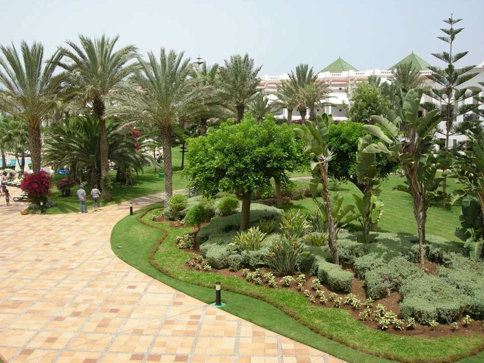 Fragment ogrodu Iberostar Waves Founty Beach
