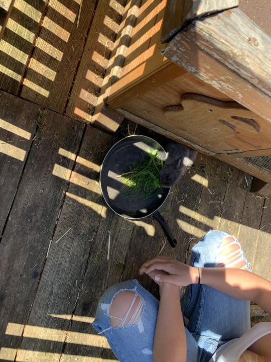 Sonstiges Hotel Gasthof Wachter