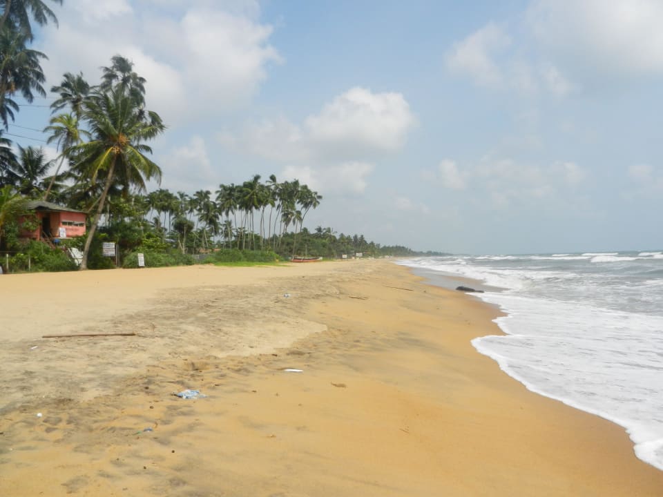 Miles of soft sandy beach in both directions! Mermaid Hotel & Club
